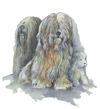 tibet+terrier+logo
