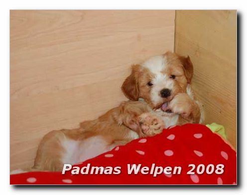 6-wochen_1