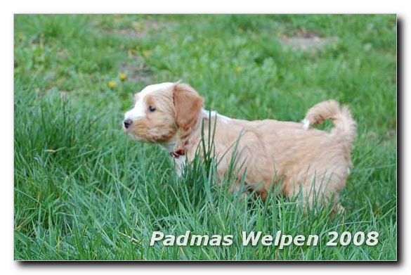 8_weeks_female1