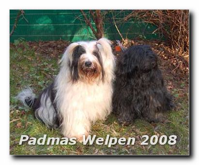 Obo und Padma 