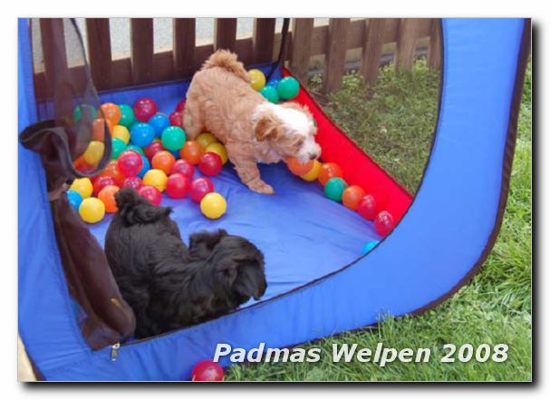 garten_5