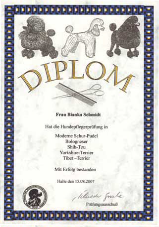 hundesalon+petersberg+bianka+diplom
