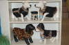 gro�es sortiment an Hundemode