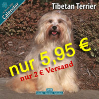 tibet+terrier - tibetan+terrier kalender